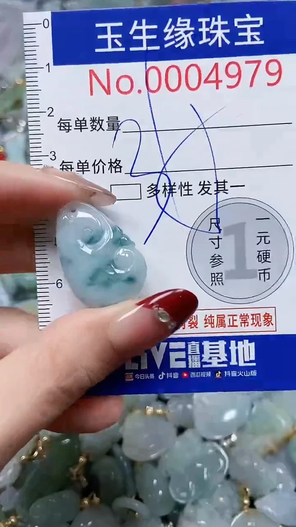 【闪购商品】翡翠颈饰未镶嵌闪购00004979