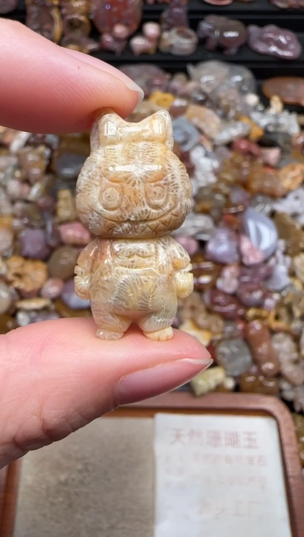 颈饰未镶嵌硅化珊瑚（珊瑚玉）297