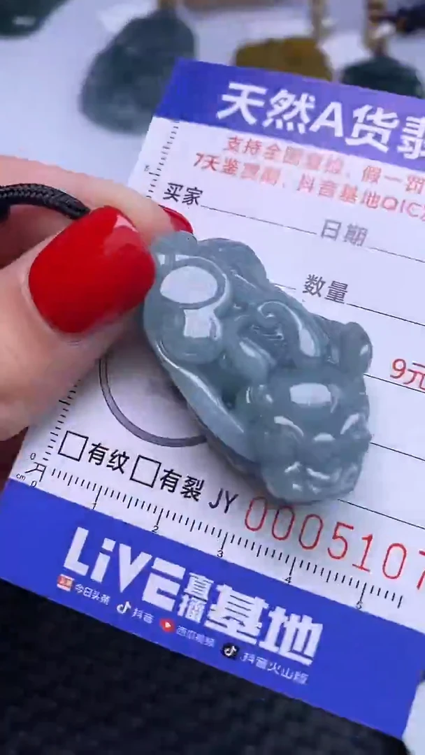 颈饰未镶嵌翡翠多样性发货 只发一件 貔貅