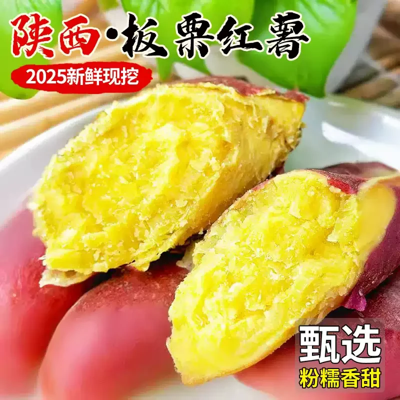 陕西沙地新鲜现挖板栗红薯粉糯香甜农家自种小香薯