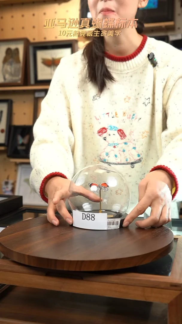 1*088多涡蛱蝶玻璃球D88