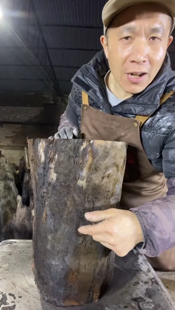 其他楠木（金丝楠）金丝楠小叶桢楠34