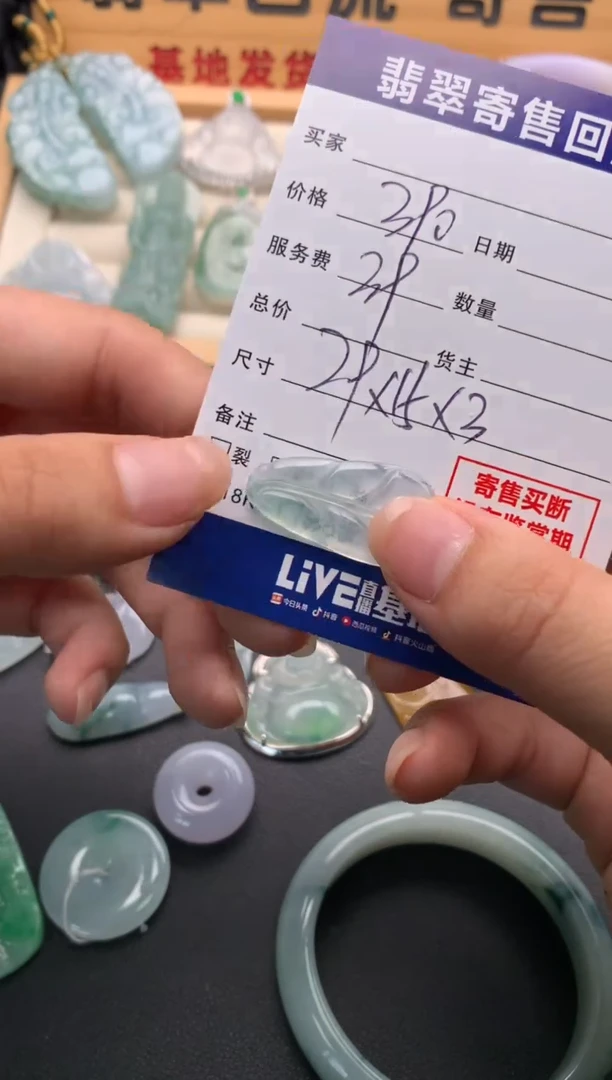 翡翠未镶嵌颈饰10137686