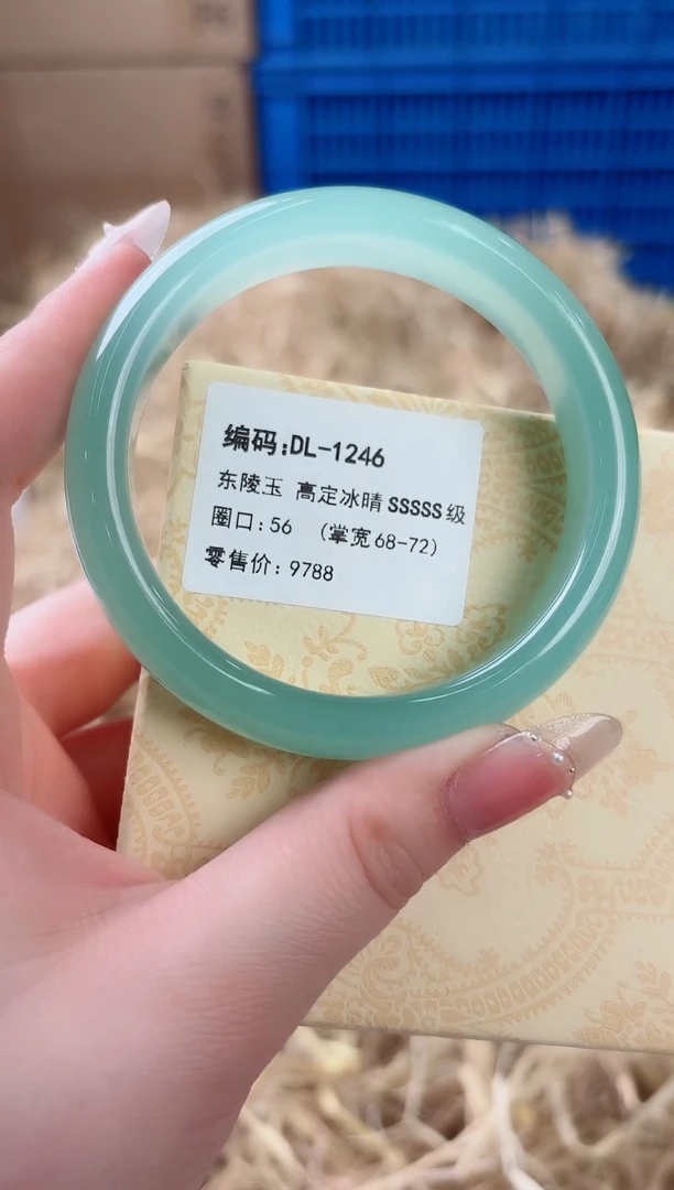 未镶嵌手镯石英质玉DL-1246