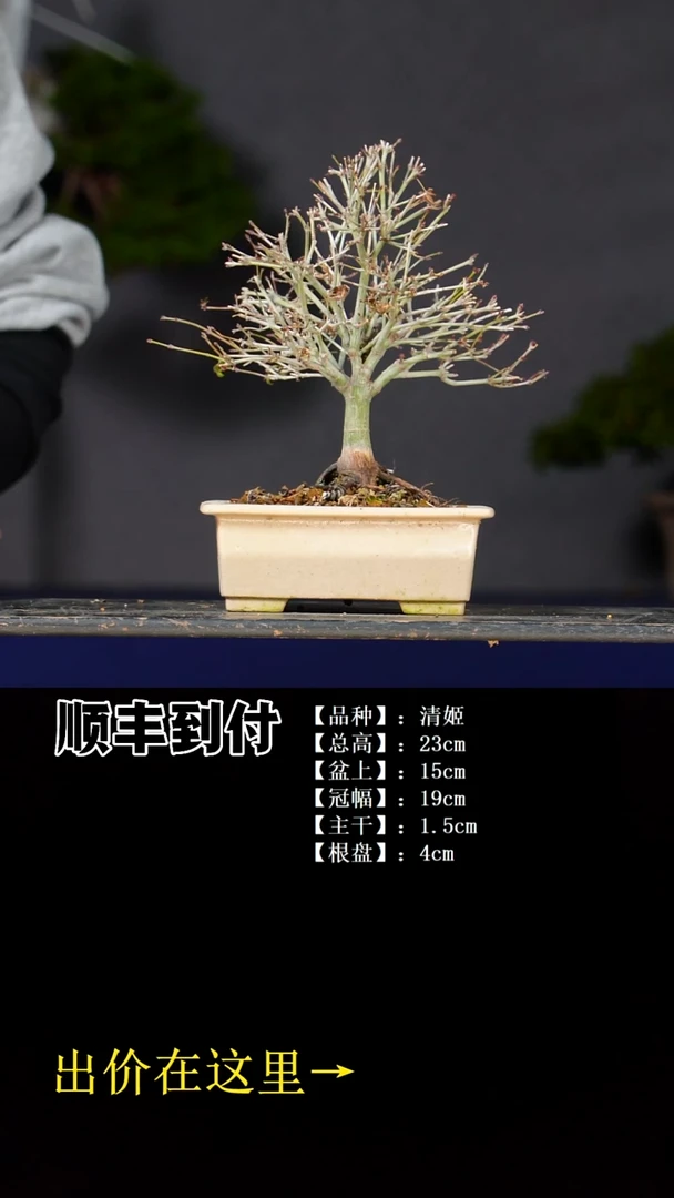 无花朵清姬bubaoyou