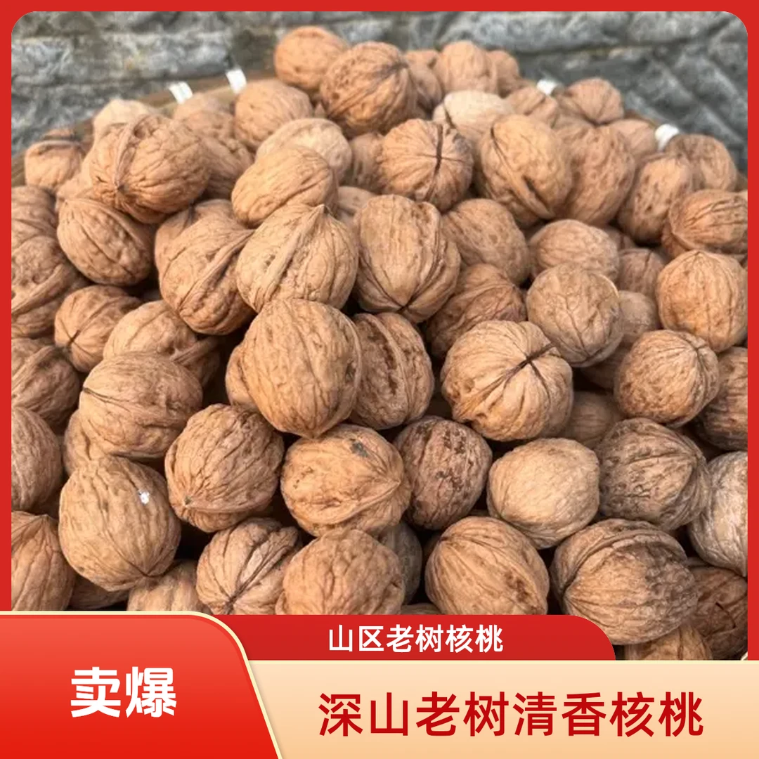 山区老树核桃农家原味生核桃