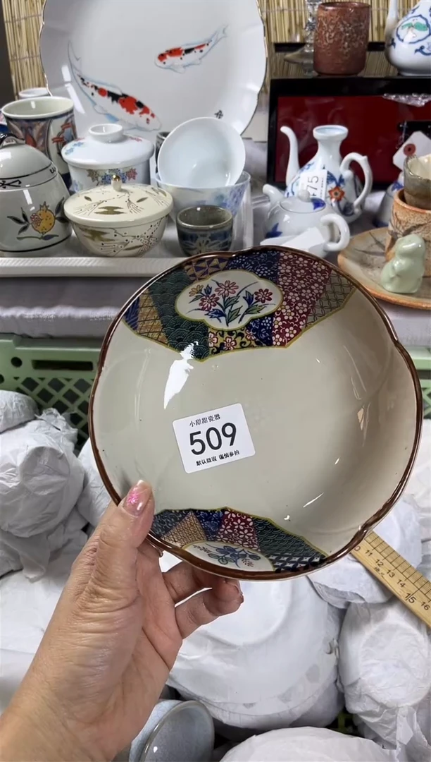 【闪购商品】碟            509