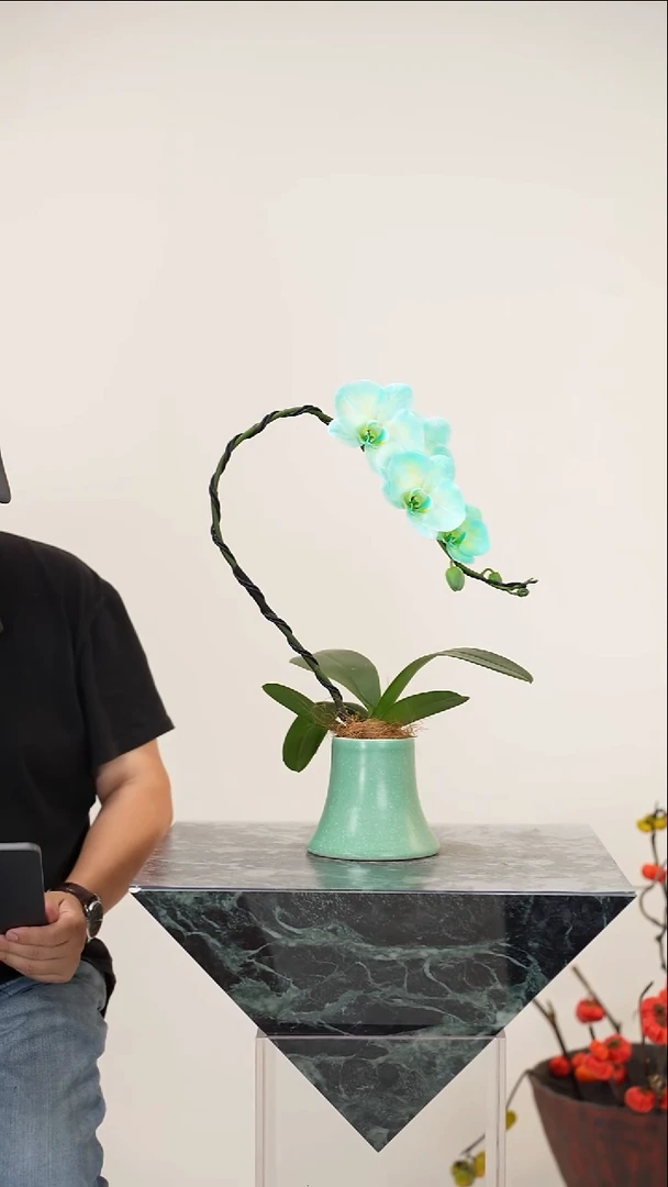 全部花朵028号链接【一物一拍】蝴蝶兰