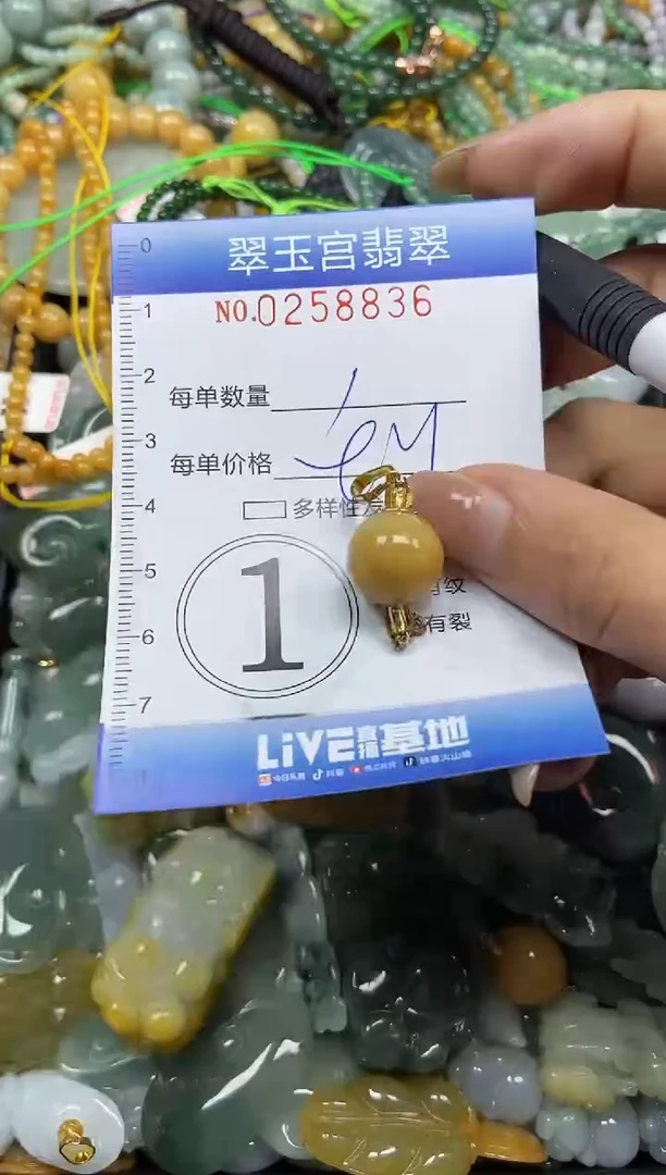 颈饰未镶嵌翡翠闪购C0258836