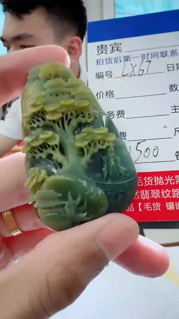 未镶嵌定制翡翠LX67翡翠吊坠带珠链-多样性发其一