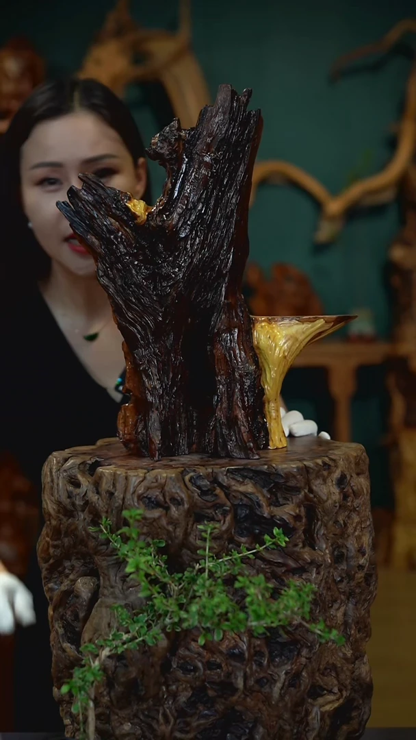枣木雷击枣木半壁江山