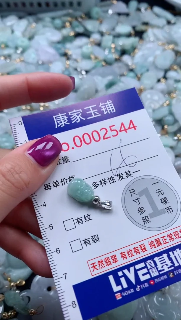 颈饰未镶嵌翡翠2544