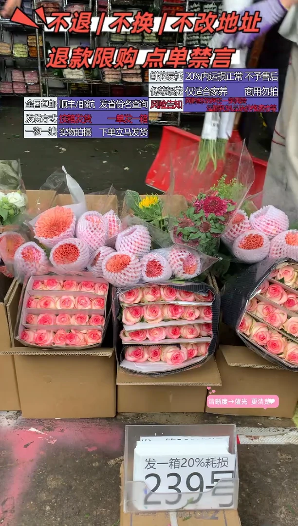 239号♥含20%耗损发一箱