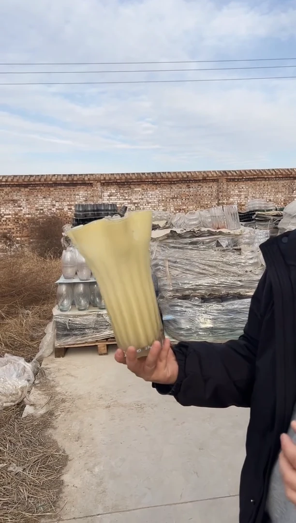 水养鲜花干花插花客厅装饰品