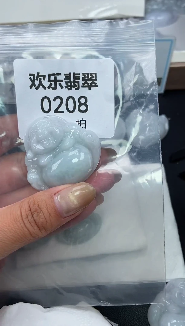 颈饰未镶嵌翡翠让****去缅甸天然翡翠0208