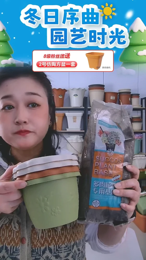 6套浮雕花盆2001型号，米白色，带托盘+1袋2升多肉土