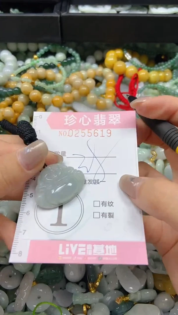 翡翠未镶嵌颈饰闪购0255619