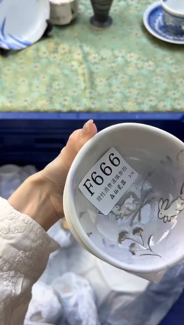 【闪购商品】瓷片          F666