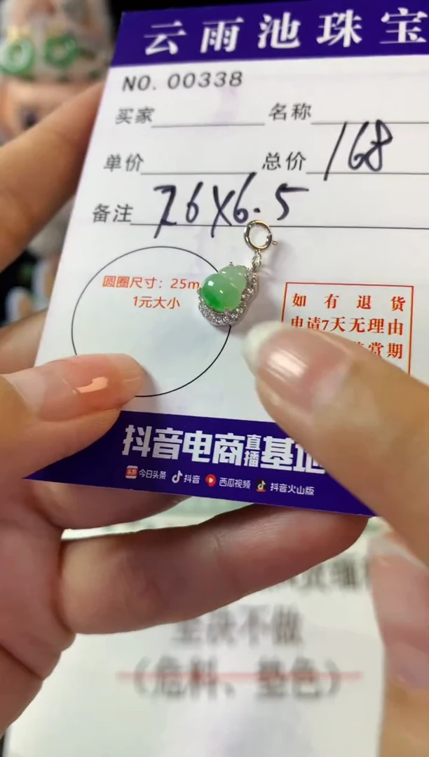 翡翠银S925镶嵌颈饰翡翠