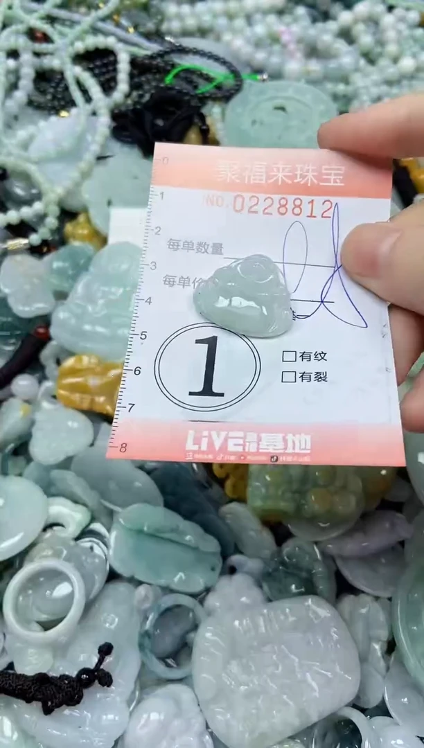 颈饰未镶嵌翡翠闪购0228812