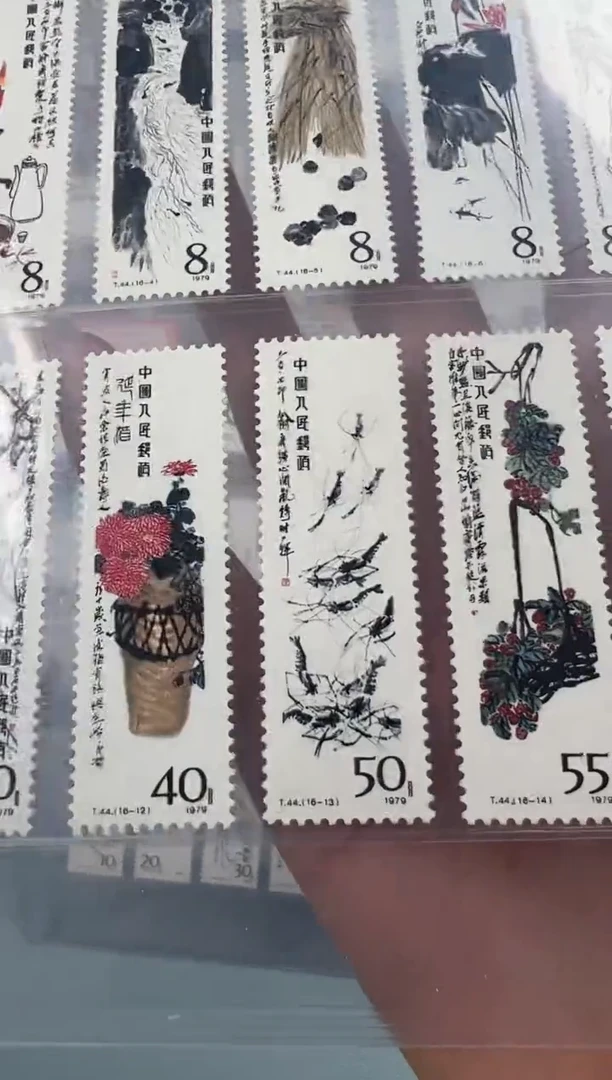 T44齐老师作品选全套