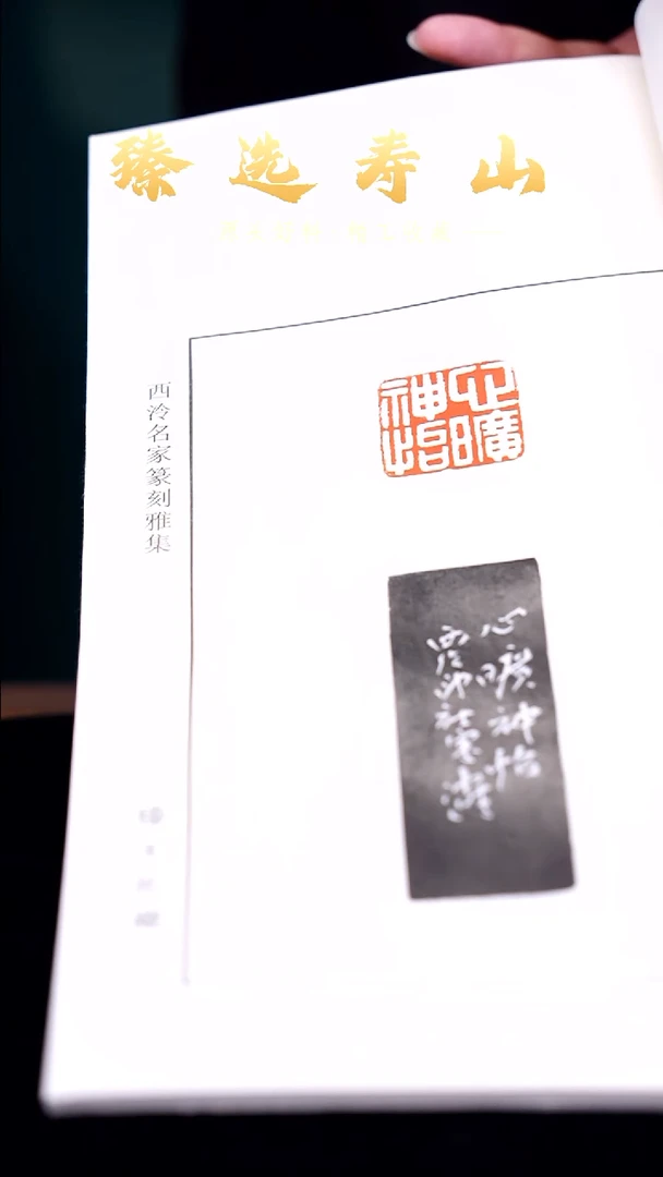 寿山石印石西泠宋涛老师印谱本