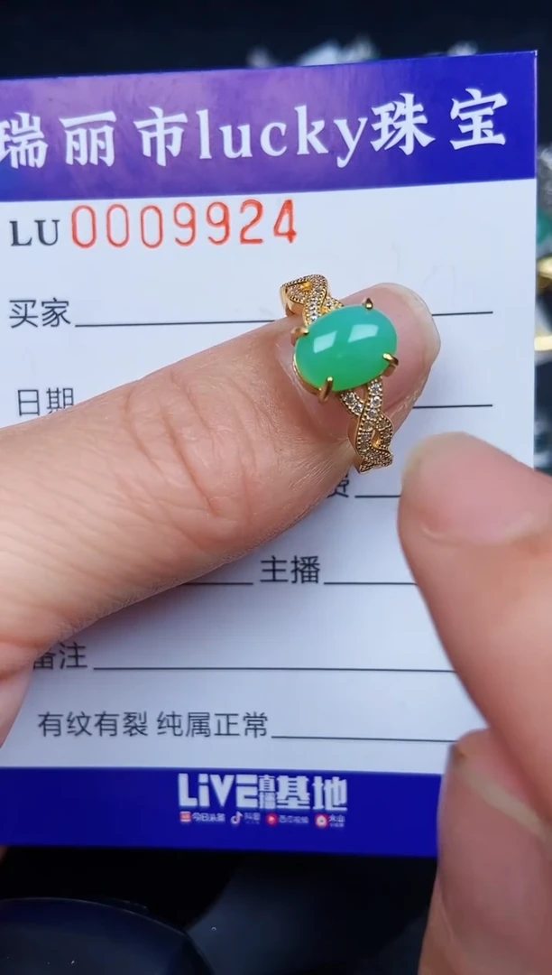 翡翠银S925镶嵌颈饰9924