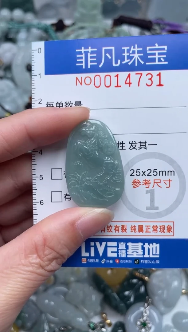 颈饰未镶嵌翡翠14731