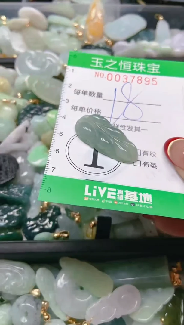 【闪购商品】翡翠颈饰未镶嵌闪购0037895