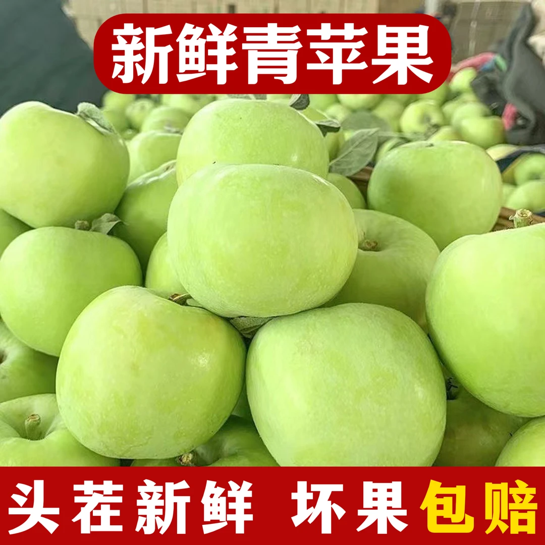 【25年新果】新鲜采摘的青苹果水果酸甜可口现摘现发多汁核小皮薄