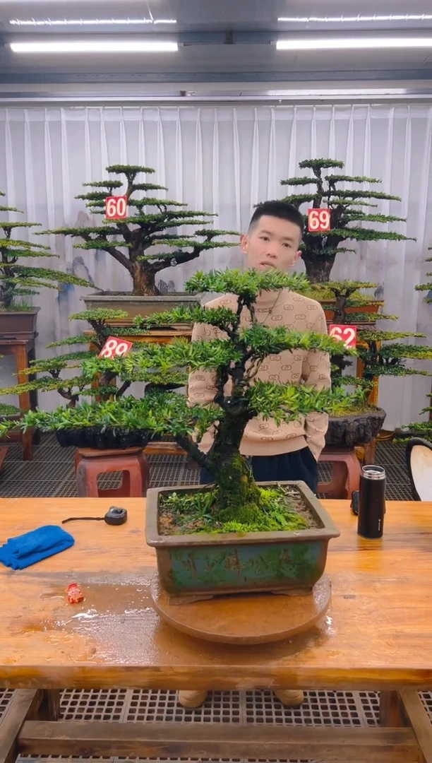【闪购商品】紫砂精品盆景直播间一物一拍