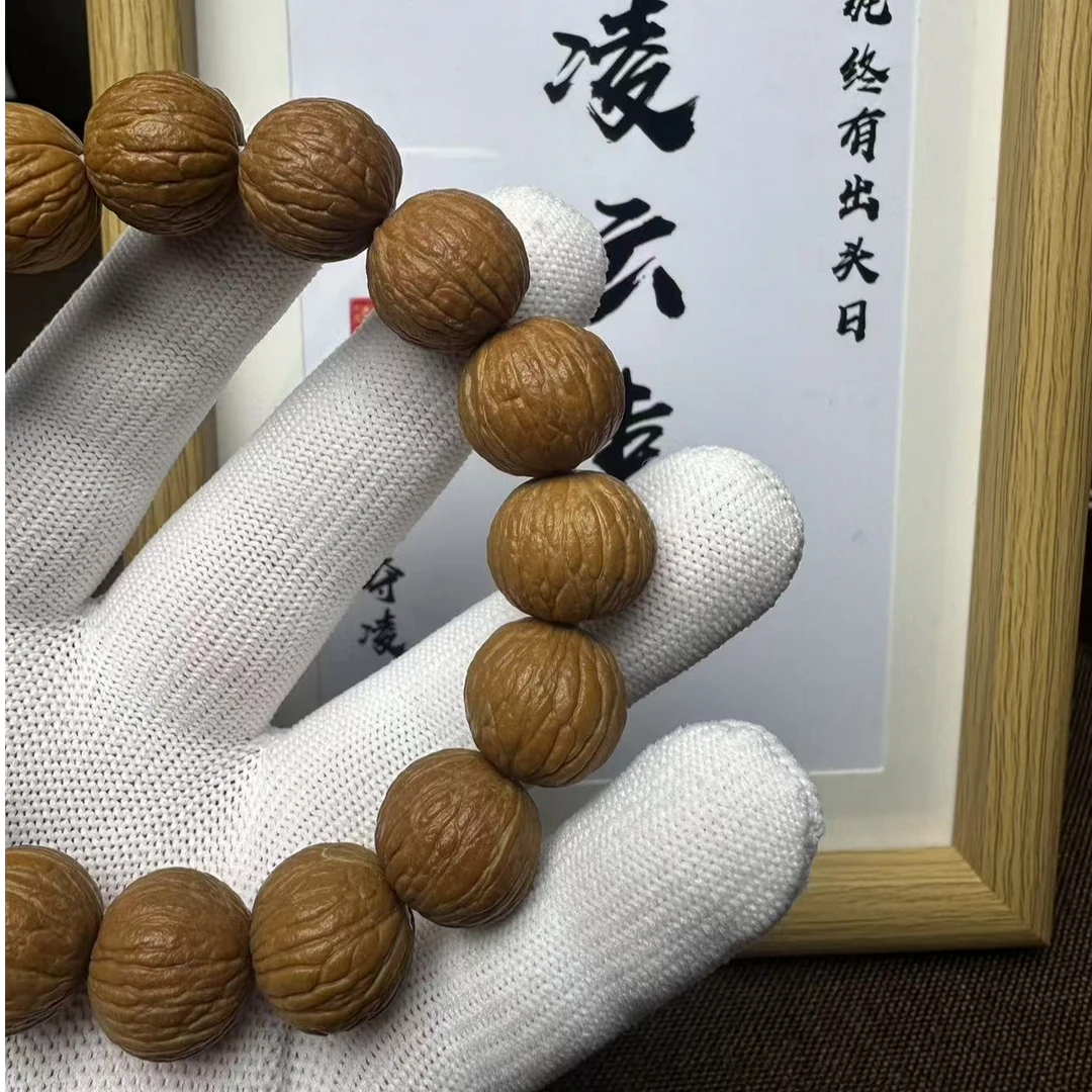 凤羽~~南瓜~~土豪~随机发