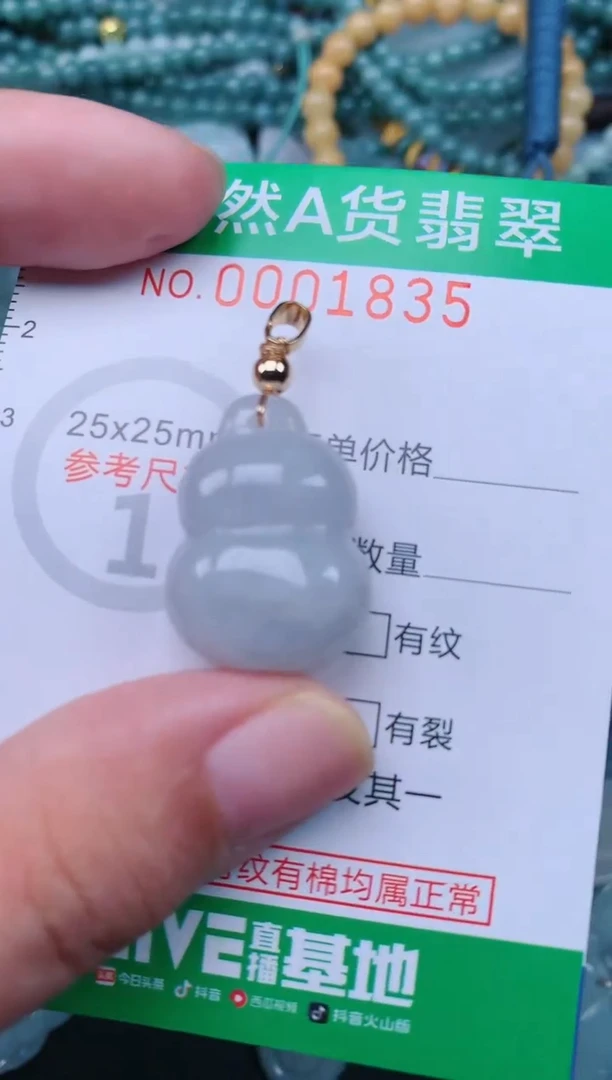 翡翠未镶嵌颈饰.0001835