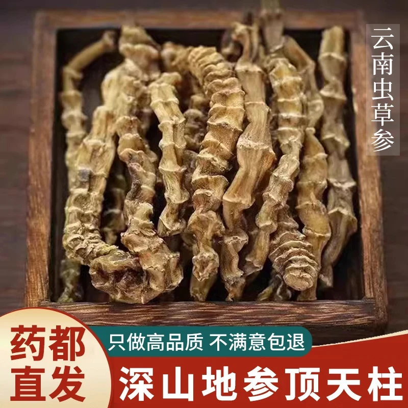 【助农补贴】【买半斤送半斤】云南深山虫草参干货正宗地参煲汤泡酒料