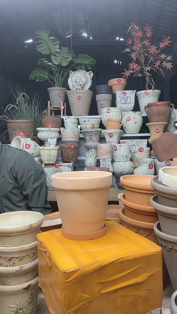 【闪购商品】缸1套15*14（红白）陶玛琪朵 送红托