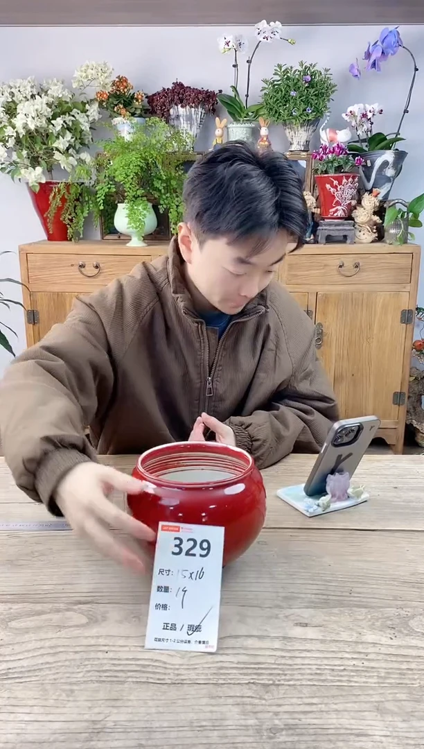 小玩子花盆直播编号329