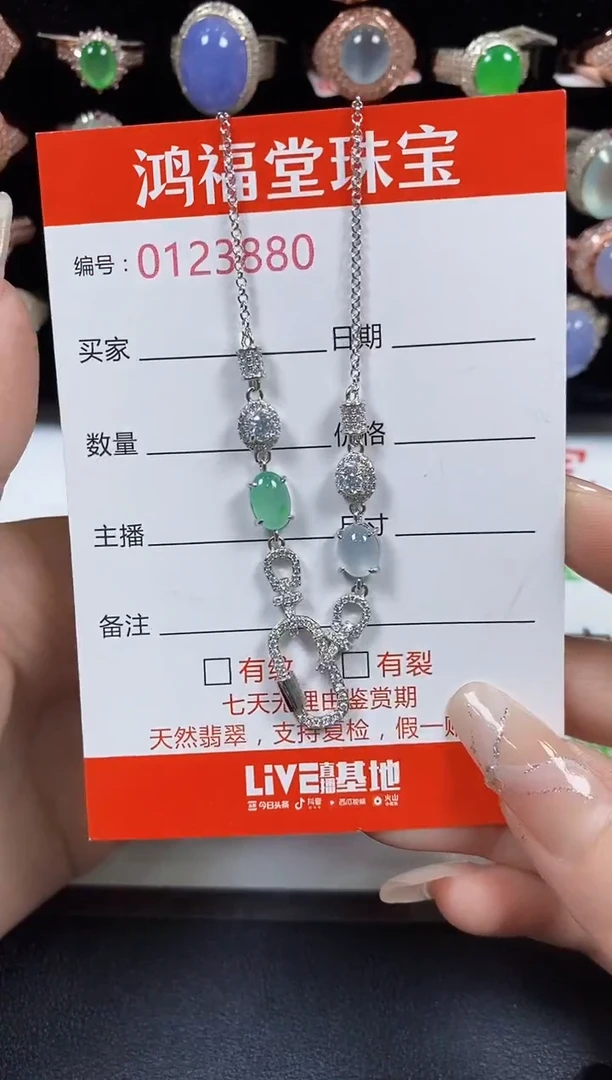 翡翠银S925镶嵌颈饰3880