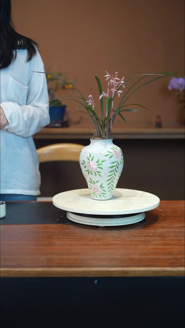 全部花朵小红草盆景盆景盆景