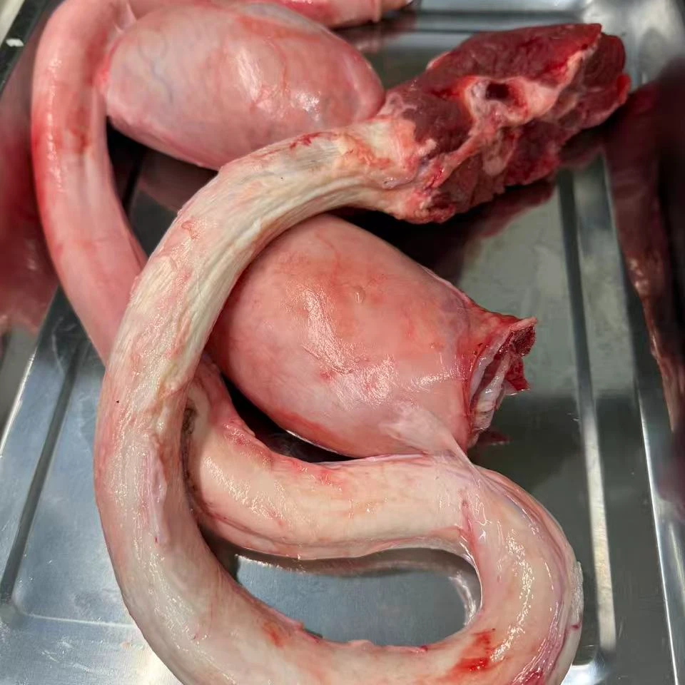 清真新鲜整套牛鞭宝一鞭两宝整套纯鲜品质 固形物含量80%以上