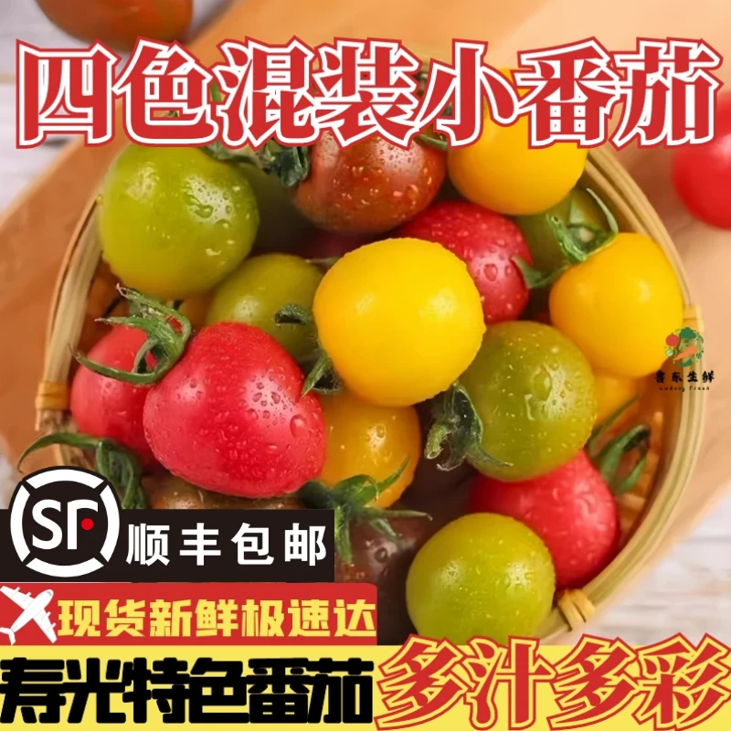 【番茄组合】寿光四色小番茄混装多色搭配水果小西红柿彩色圣女果