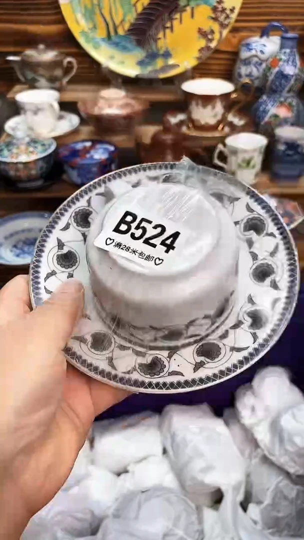 回流瓷器丽*新号开播 全场20元包邮B524