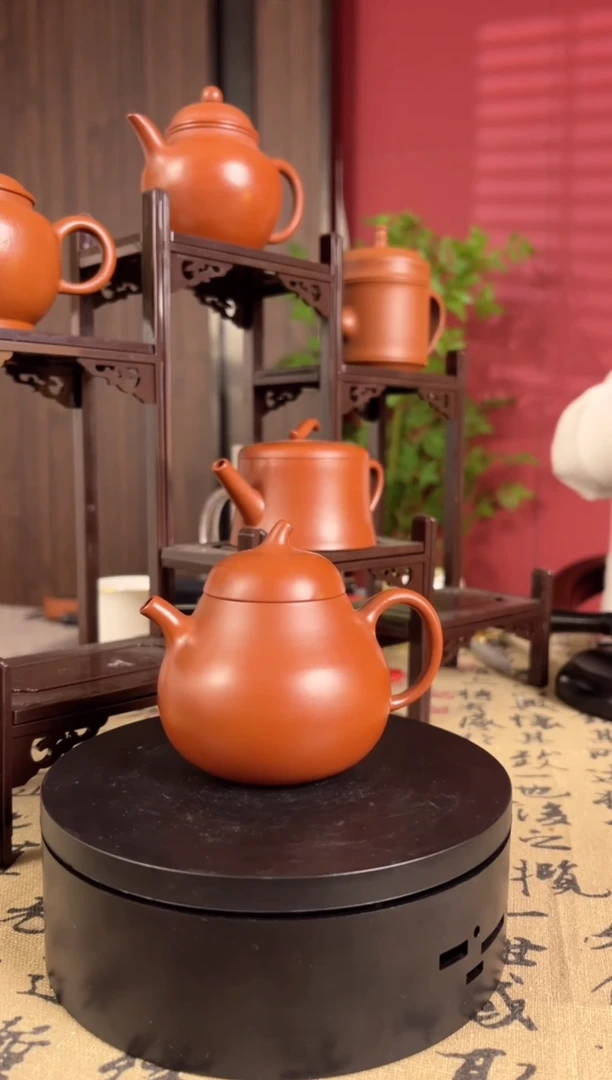⑳佘泽伟-茄瓜-100cc
