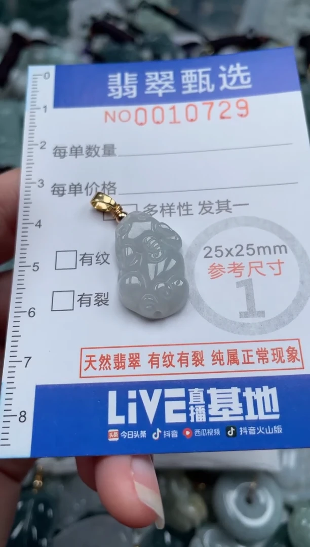 颈饰未镶嵌翡翠10729