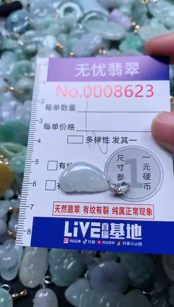 颈饰未镶嵌翡翠8623
