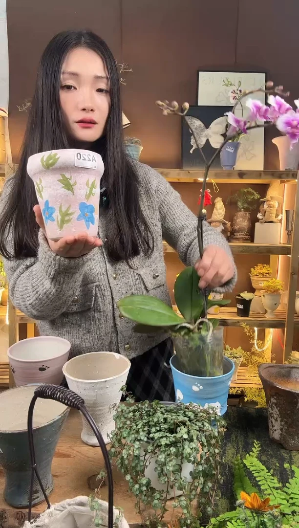 无花朵220编号    景德镇花盆