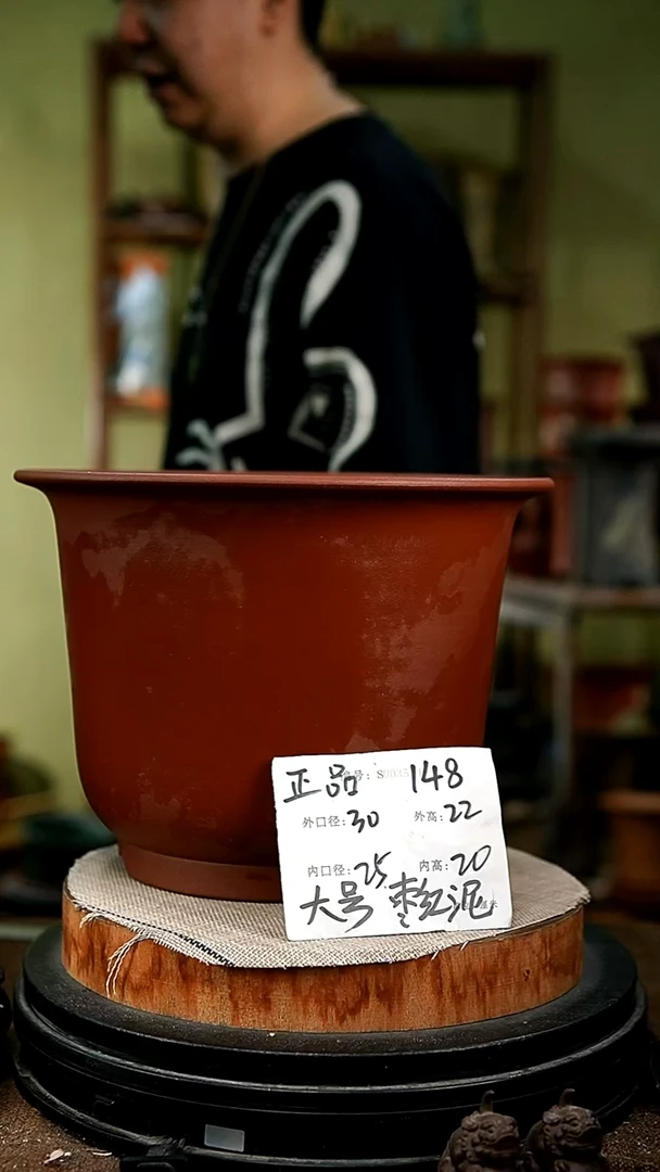 紫砂花盆花卉园艺148