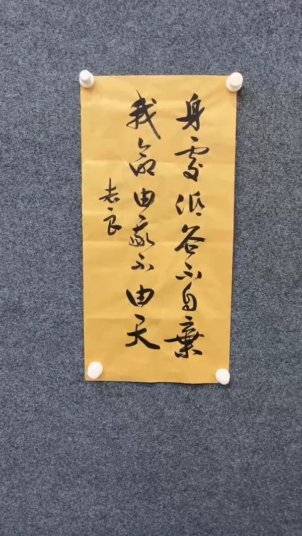 国画袁志良书法-无国检-004