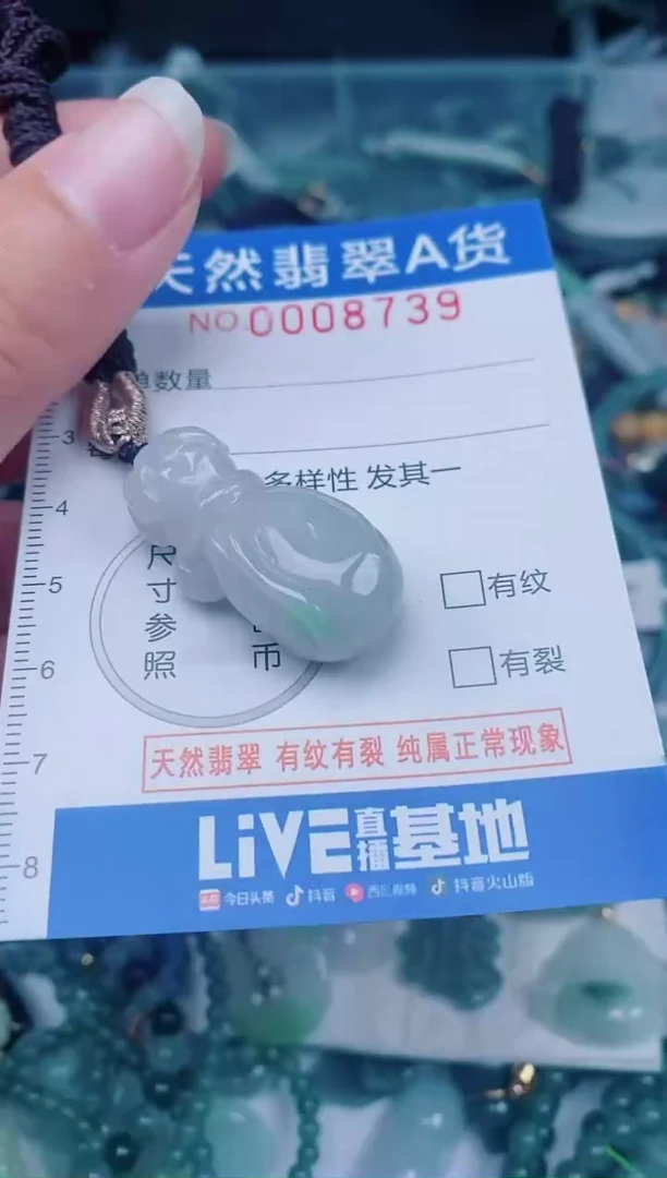 颈饰未镶嵌翡翠00008739