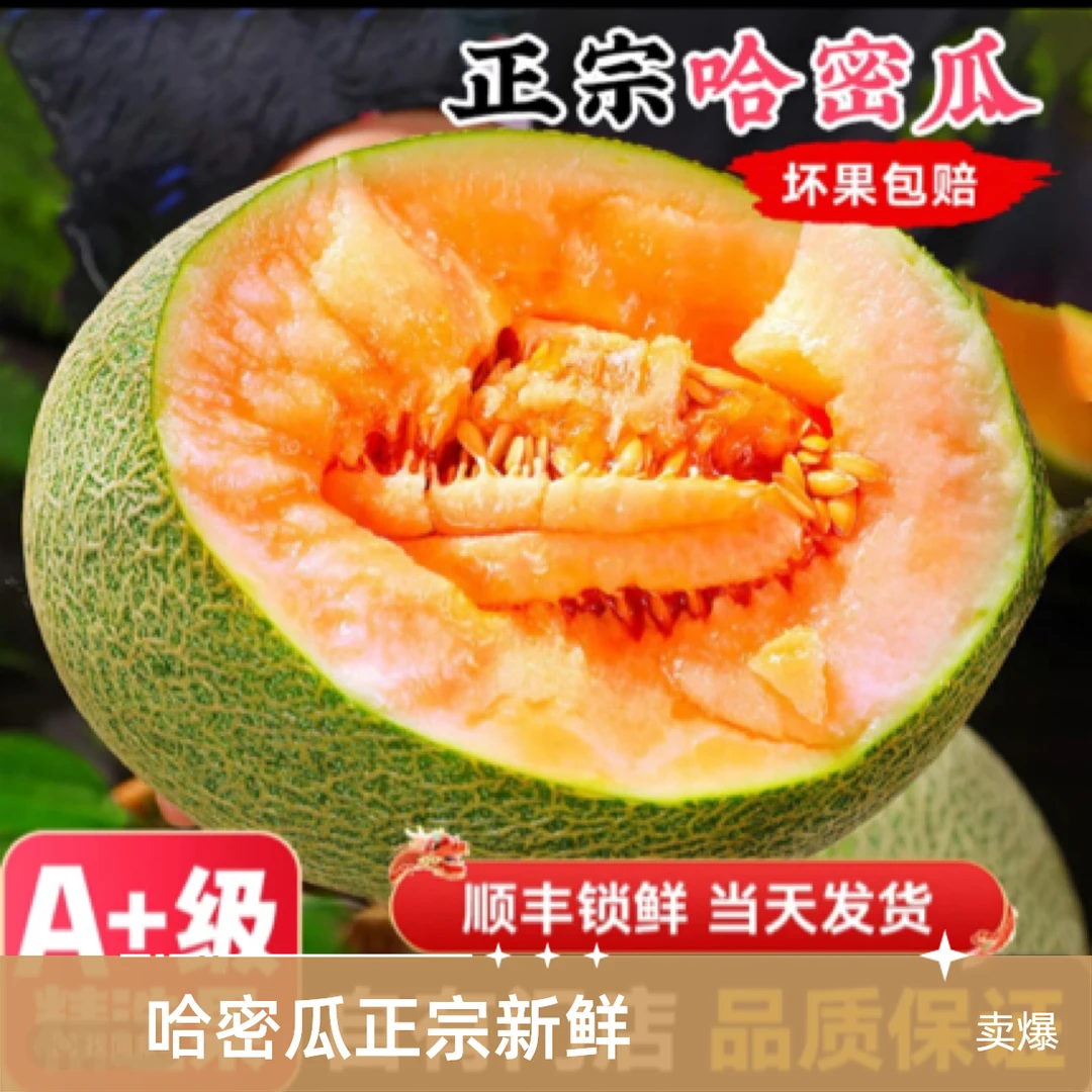 【顺丰送上门】正宗哈密瓜新鲜一箱水果当季2.5斤起包邮