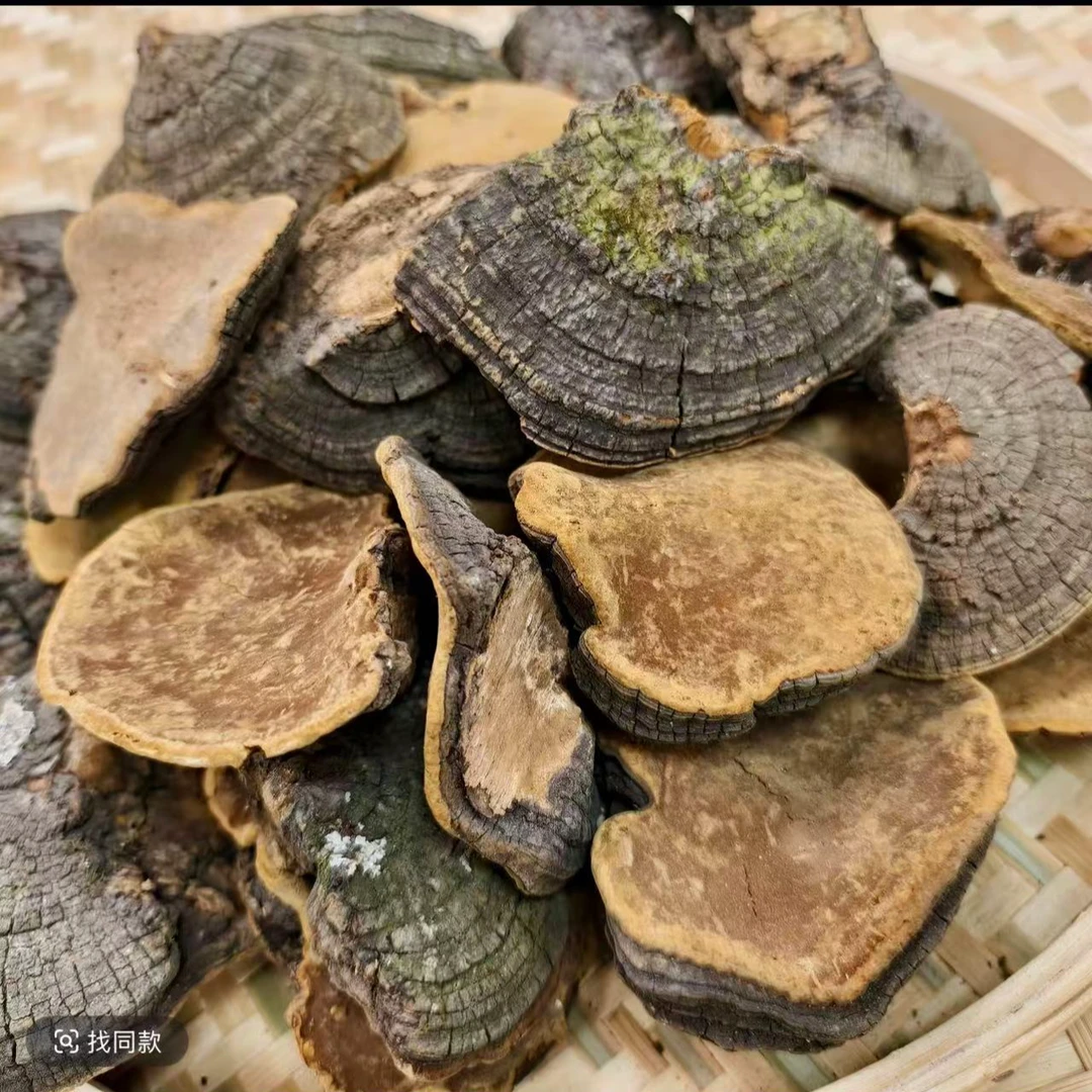 精品西藏桑菌菇500g 精美礼品袋包装 煲汤泡酒泡水